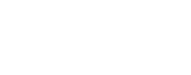 Volanté Systems